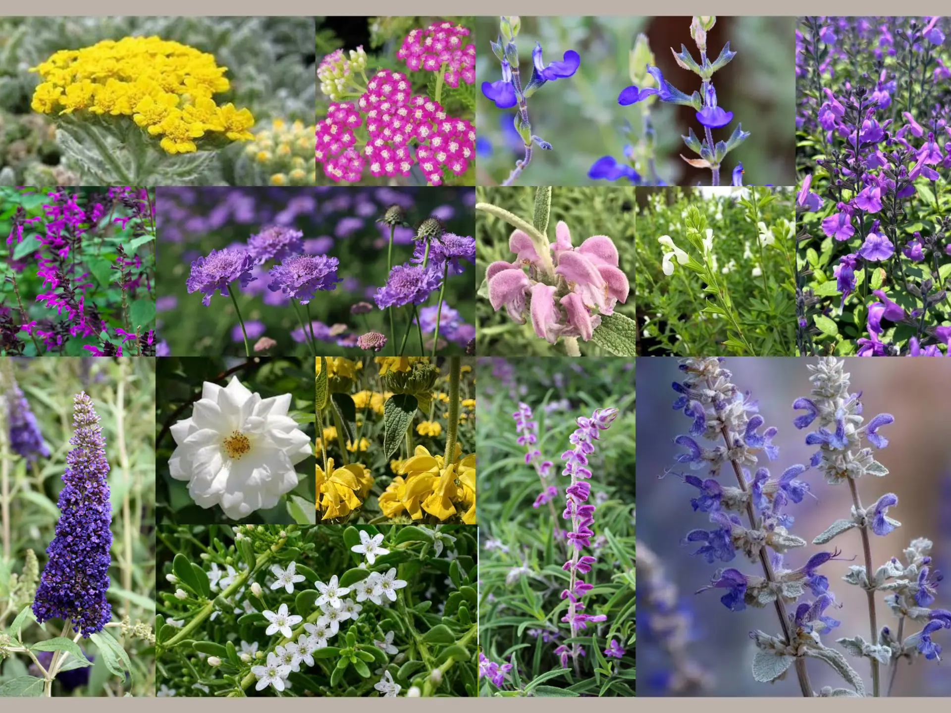 Pollinator garden mood board