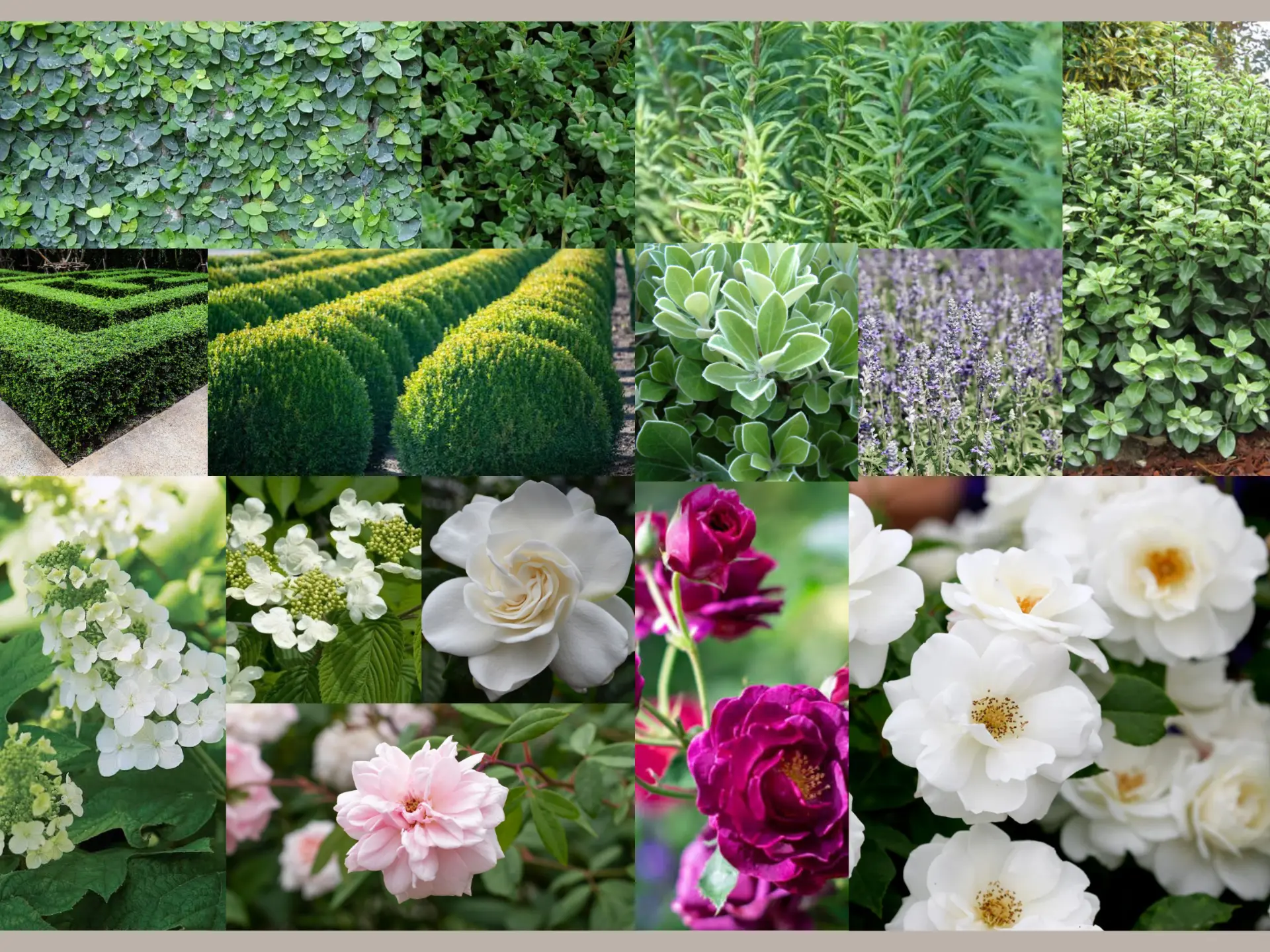 English garden mood board