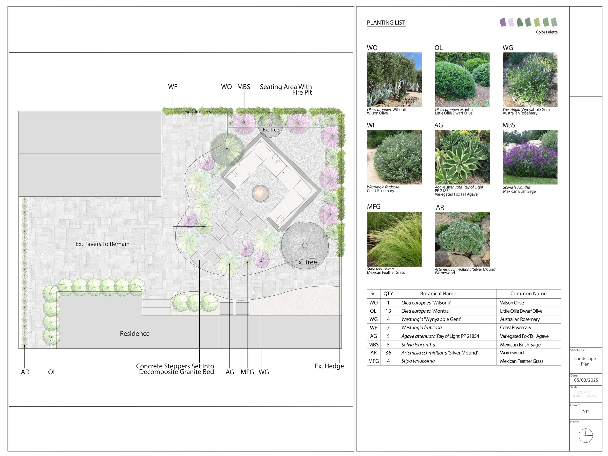 Mediterranean drought-tolerant landscape planting plan