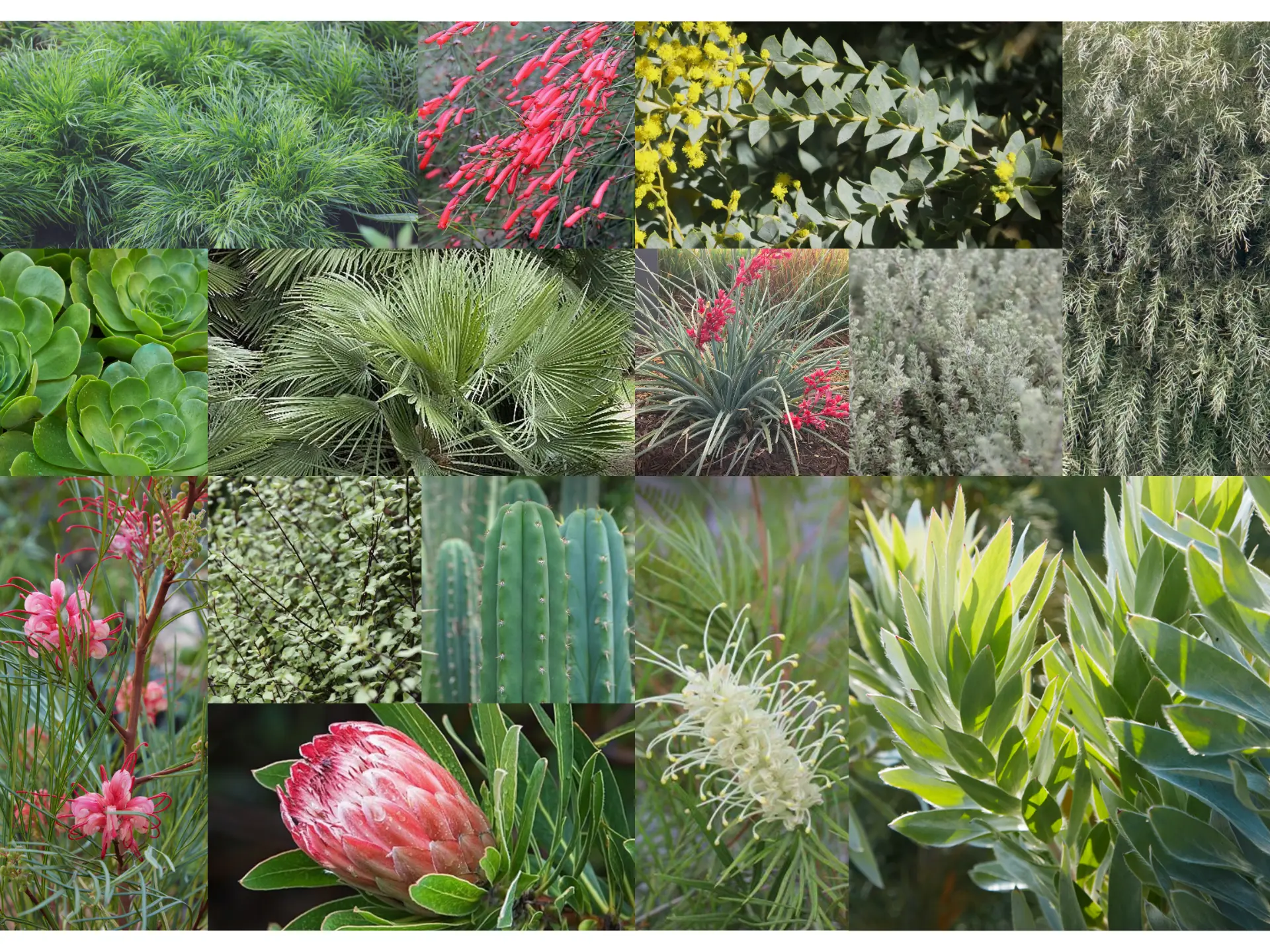 Hybrid garden mood board