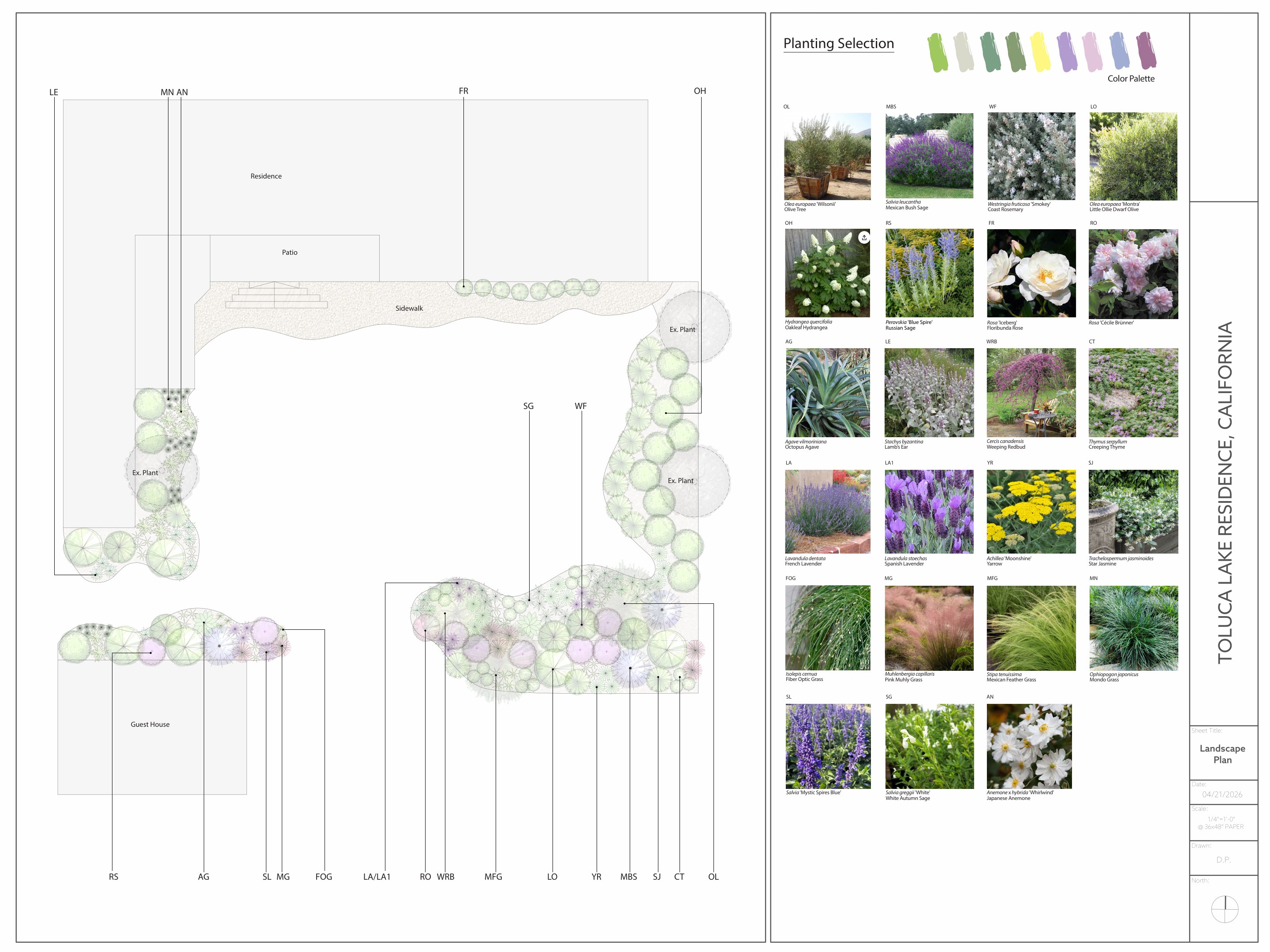 Mediterranean planting plan — Toluca Lake
