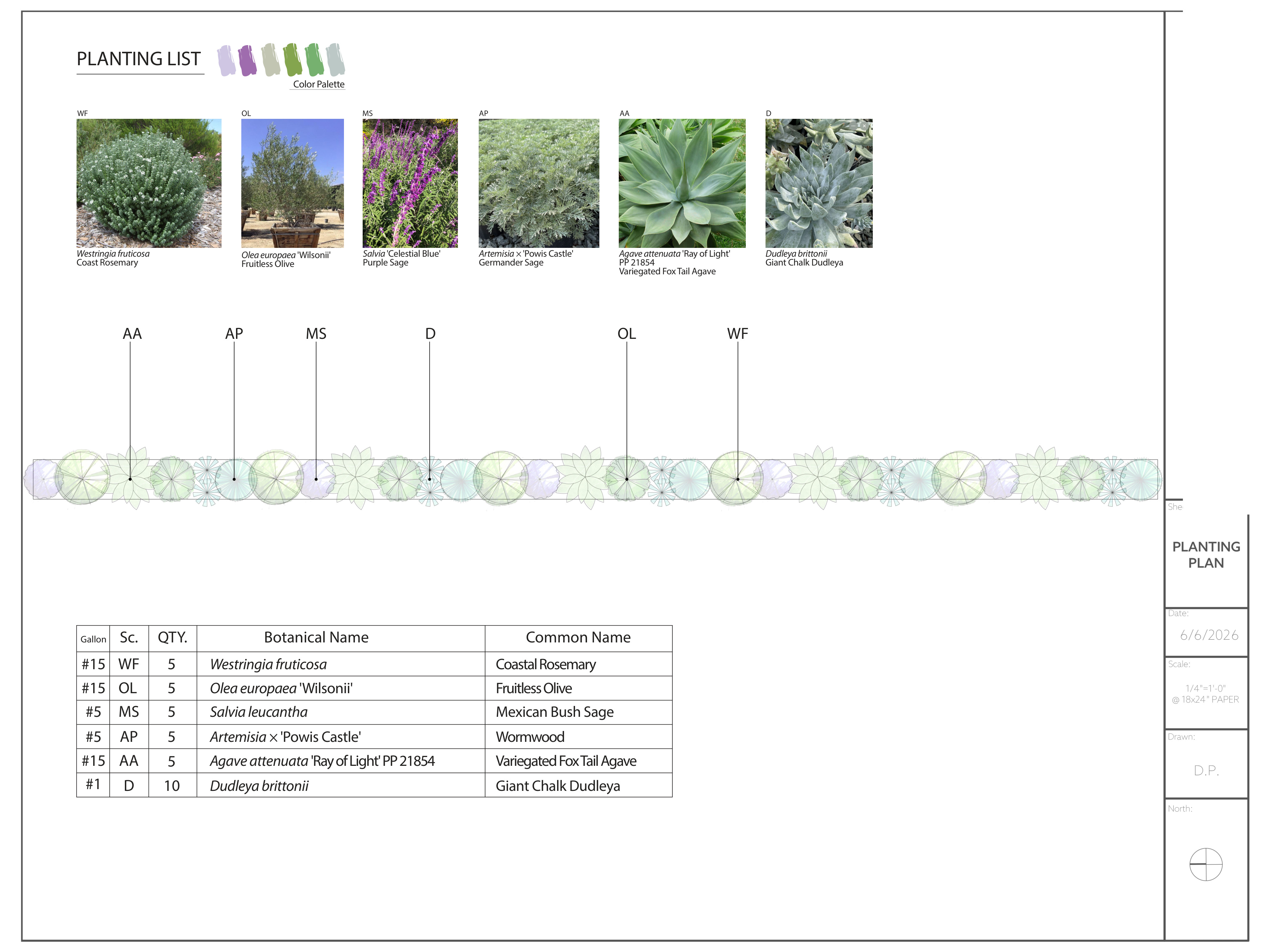 Mediterranean planting plan — Business space, Los Angeles
