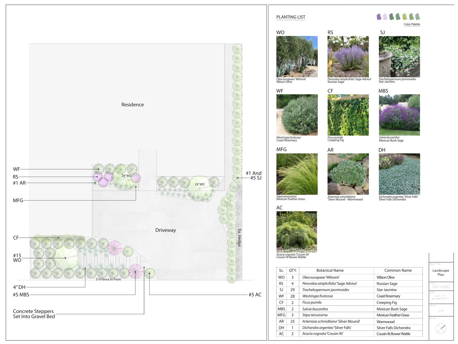 Mediterranean planting plan — Front garden