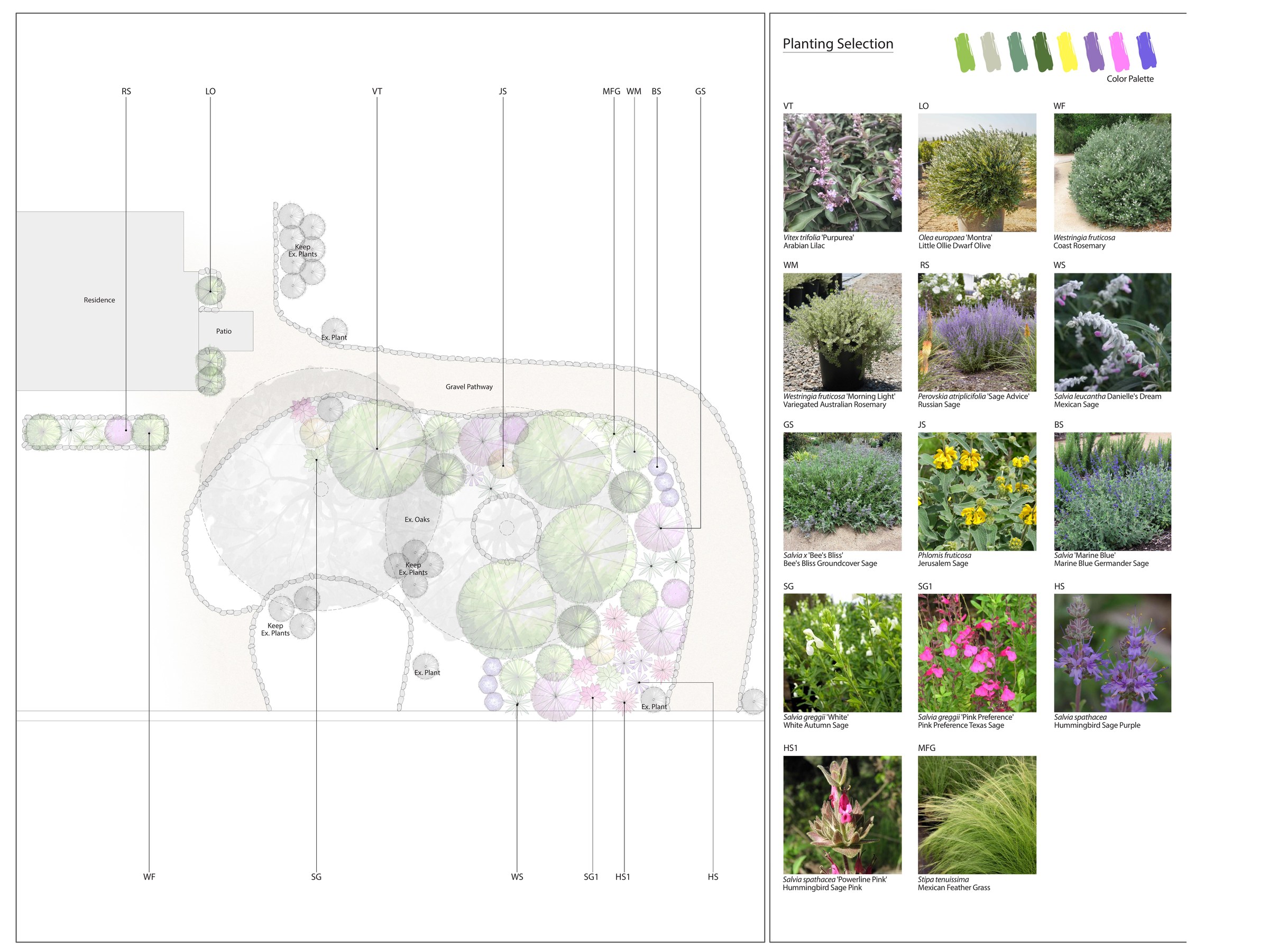 Pollinator meets Mediterranean — Ojai garden