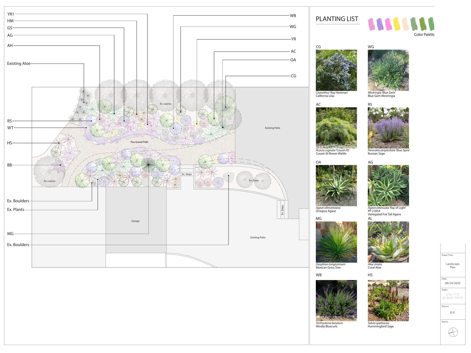 Pollinator planting plan — Residential garden