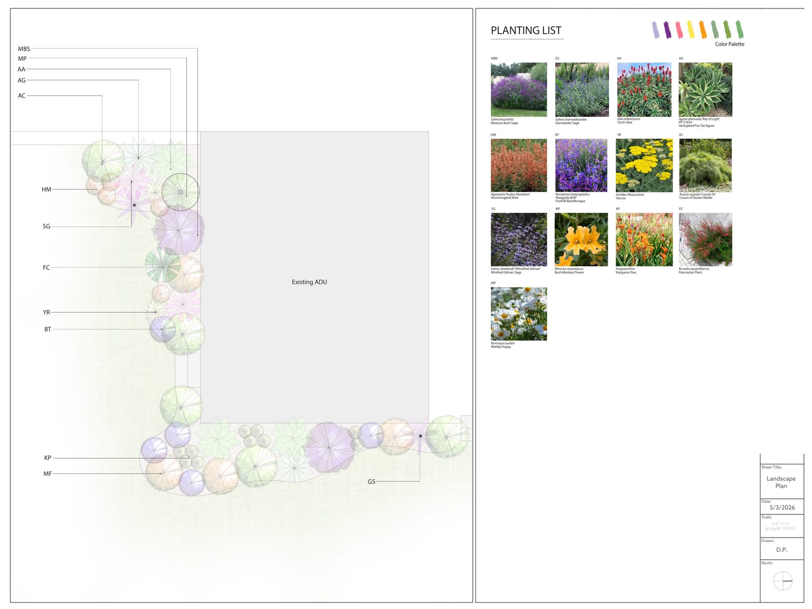 Pollinator planting plan — Perennial borders