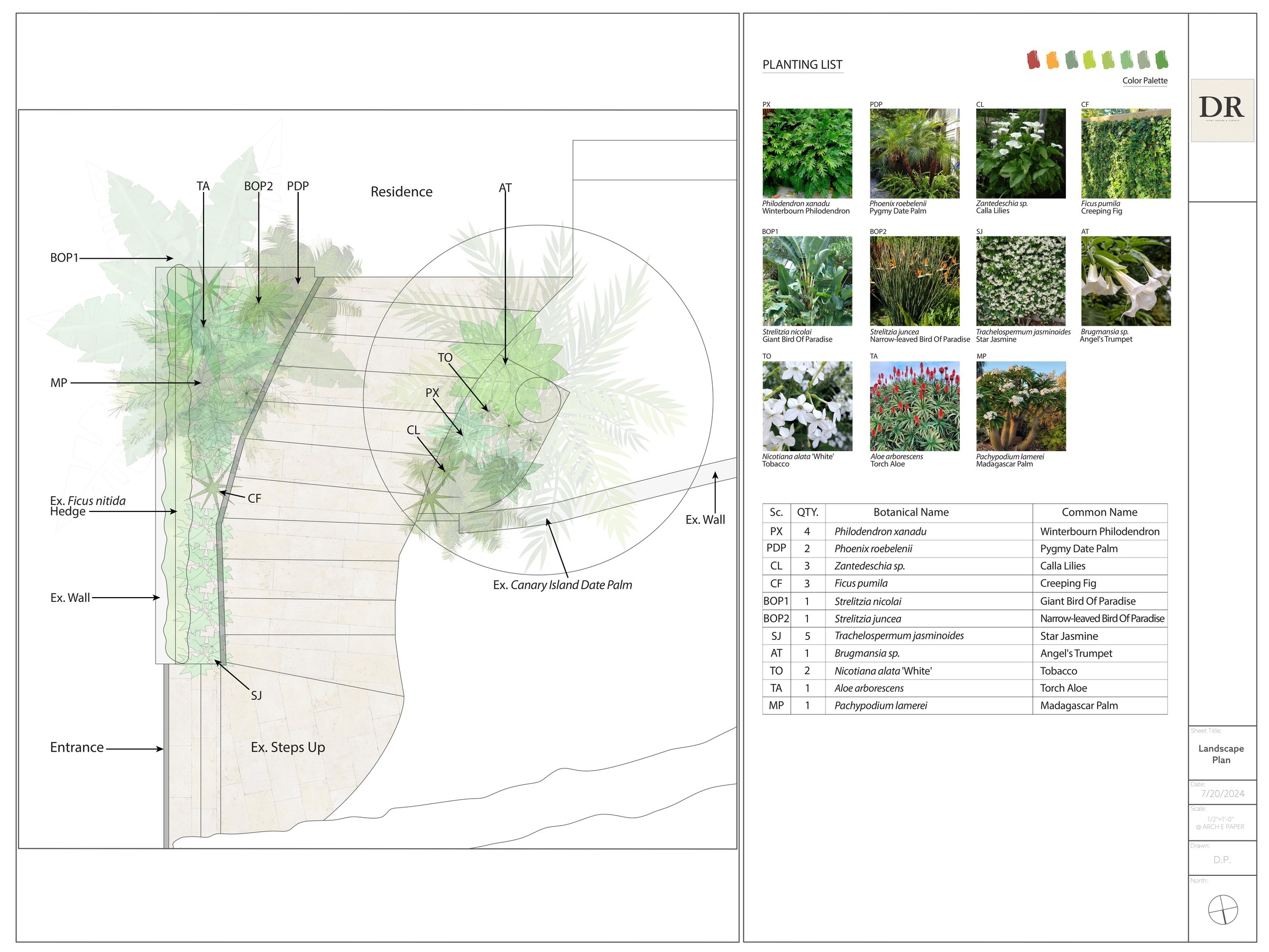 Tropical planting plan — Entry garden, Los Angeles